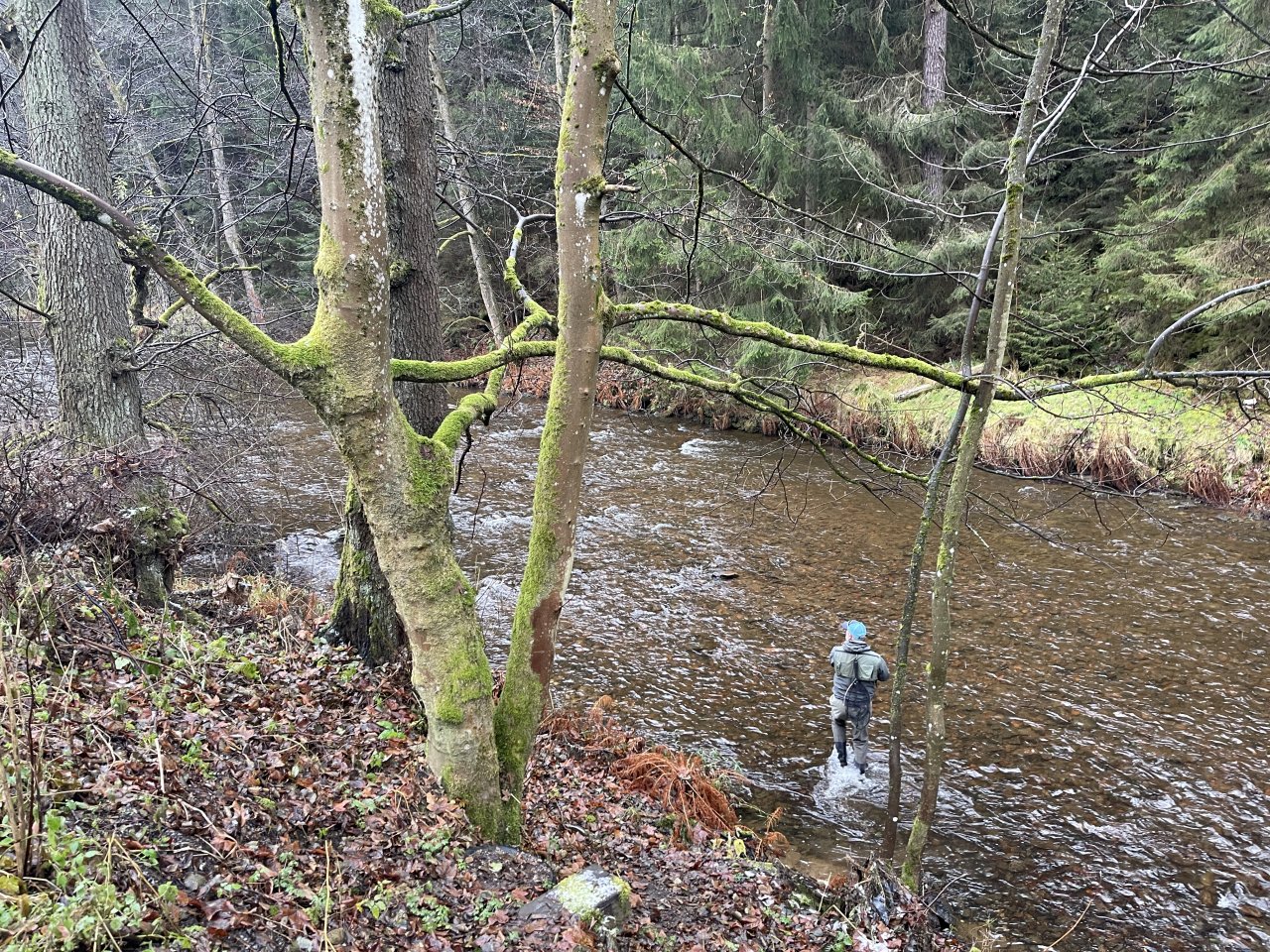 Svatava near H�ebeny