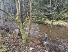 Svatava near Høebeny