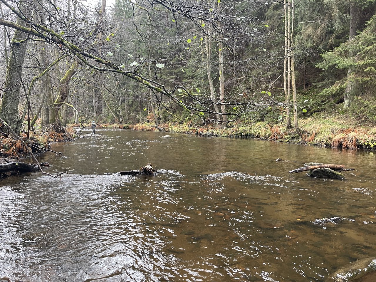 Svatava near H�ebeny