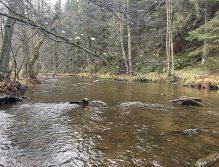 Svatava near Høebeny