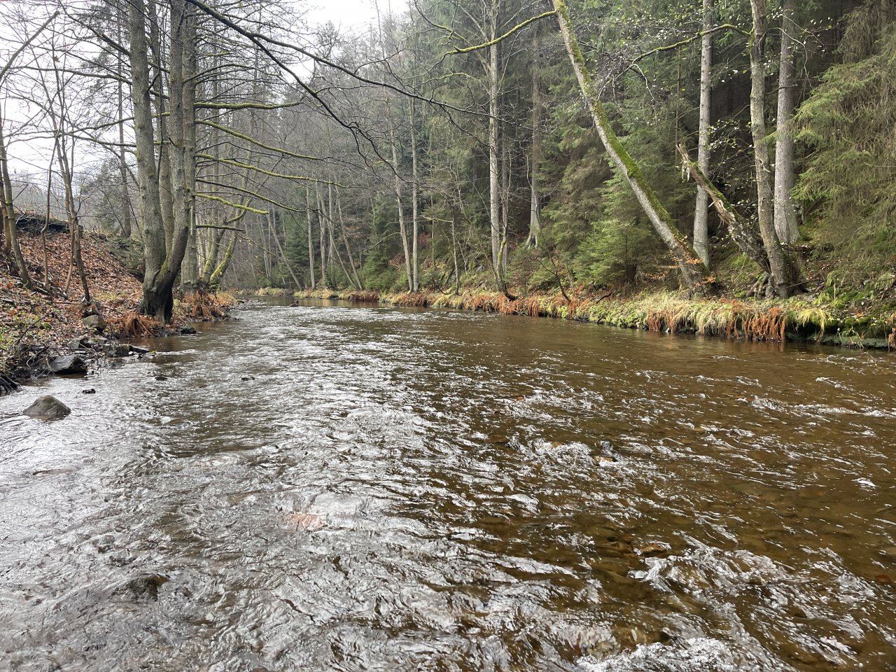 Svatava near H�ebeny