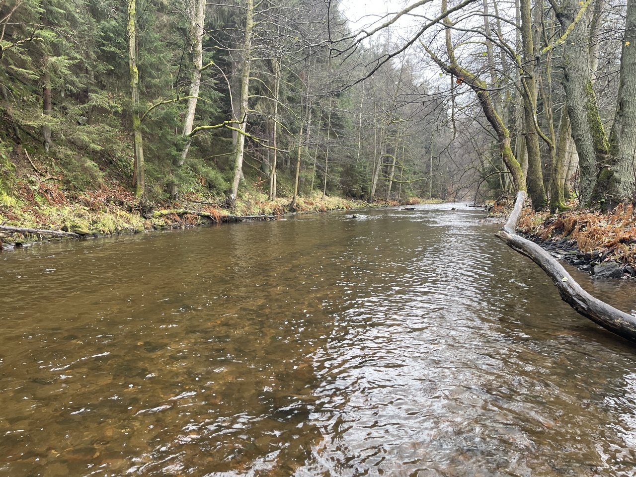 Svatava near H�ebeny