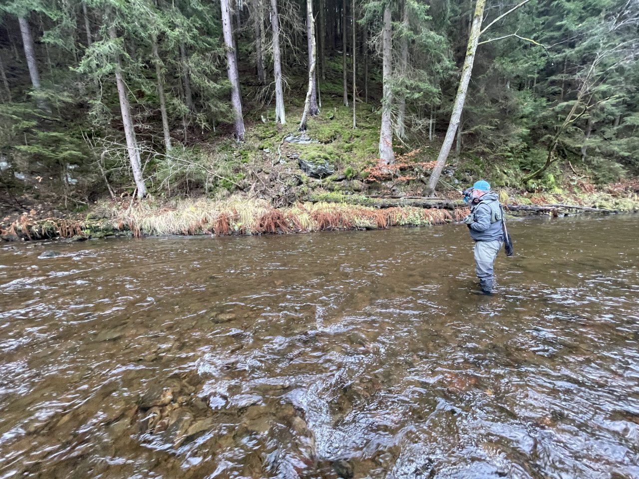 Svatava near H�ebeny