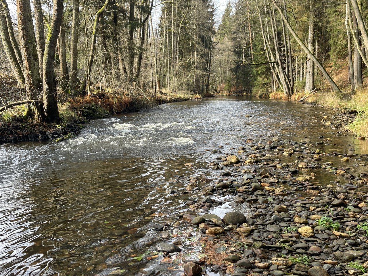 Svatava near H�ebeny