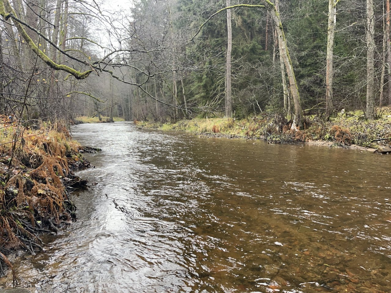 Svatava near H�ebeny