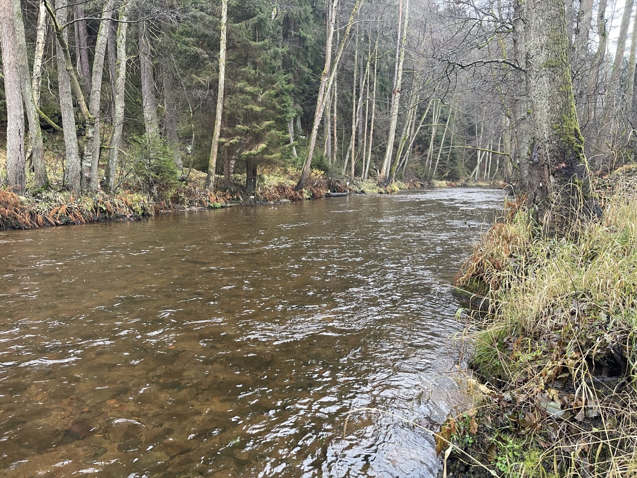 Svatava near H�ebeny