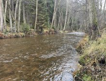 Svatava near Høebeny