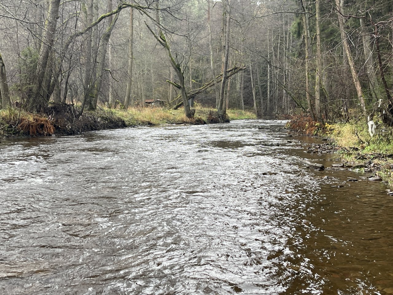 Svatava near H�ebeny