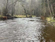 Svatava near Høebeny