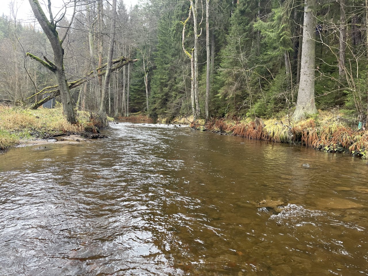 Svatava near H�ebeny