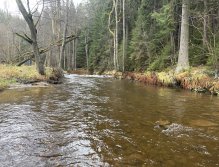 Svatava near Høebeny