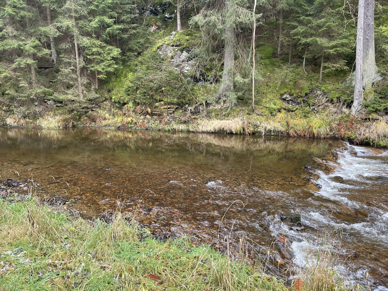 Svatava near H�ebeny