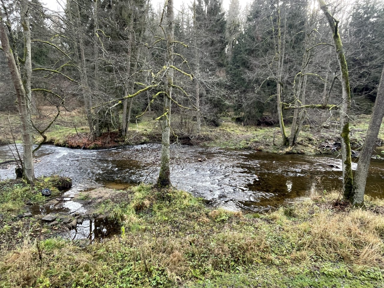 Svatava near H�ebeny