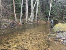 Svatava near Høebeny