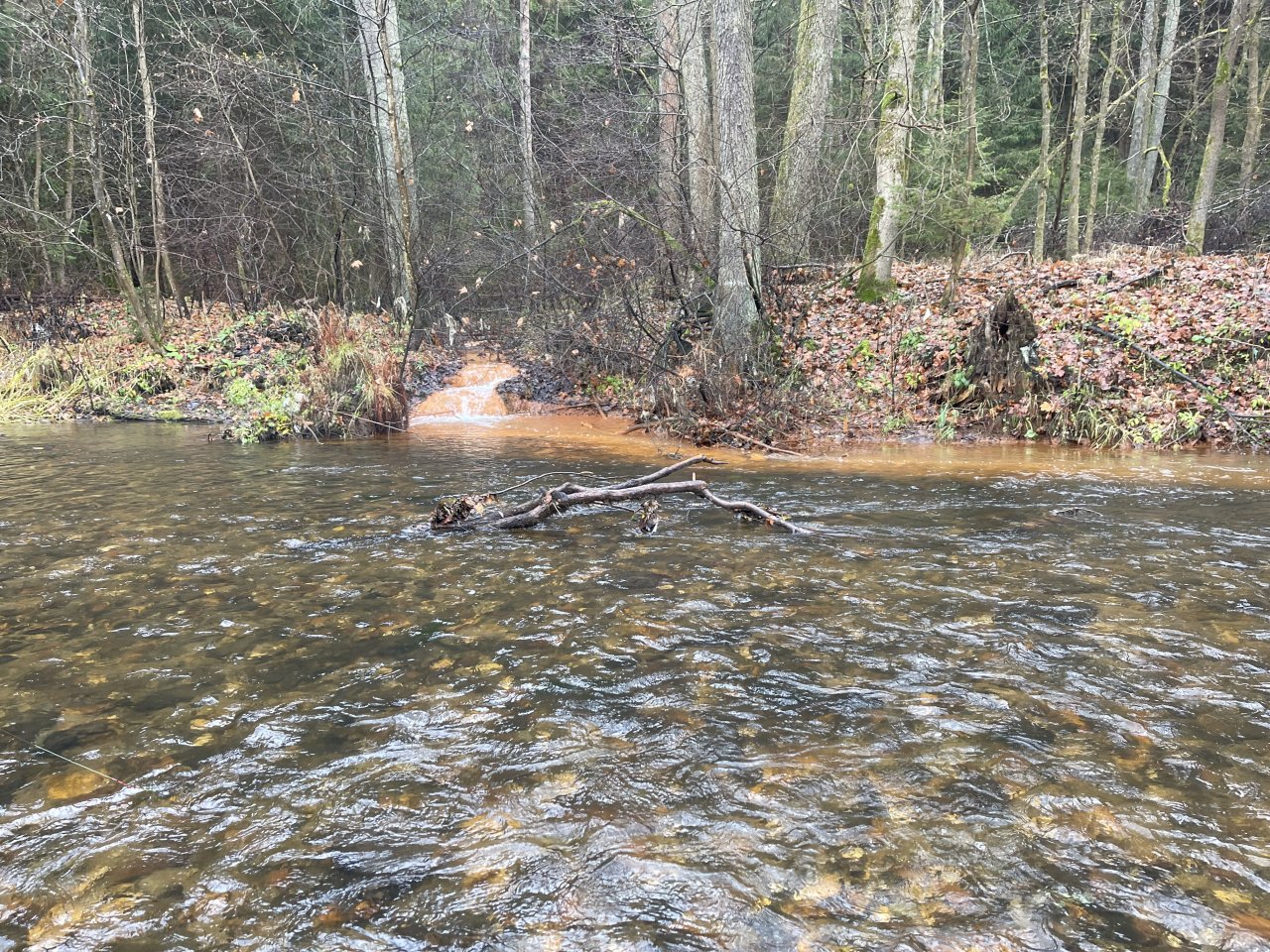 Svatava near H�ebeny