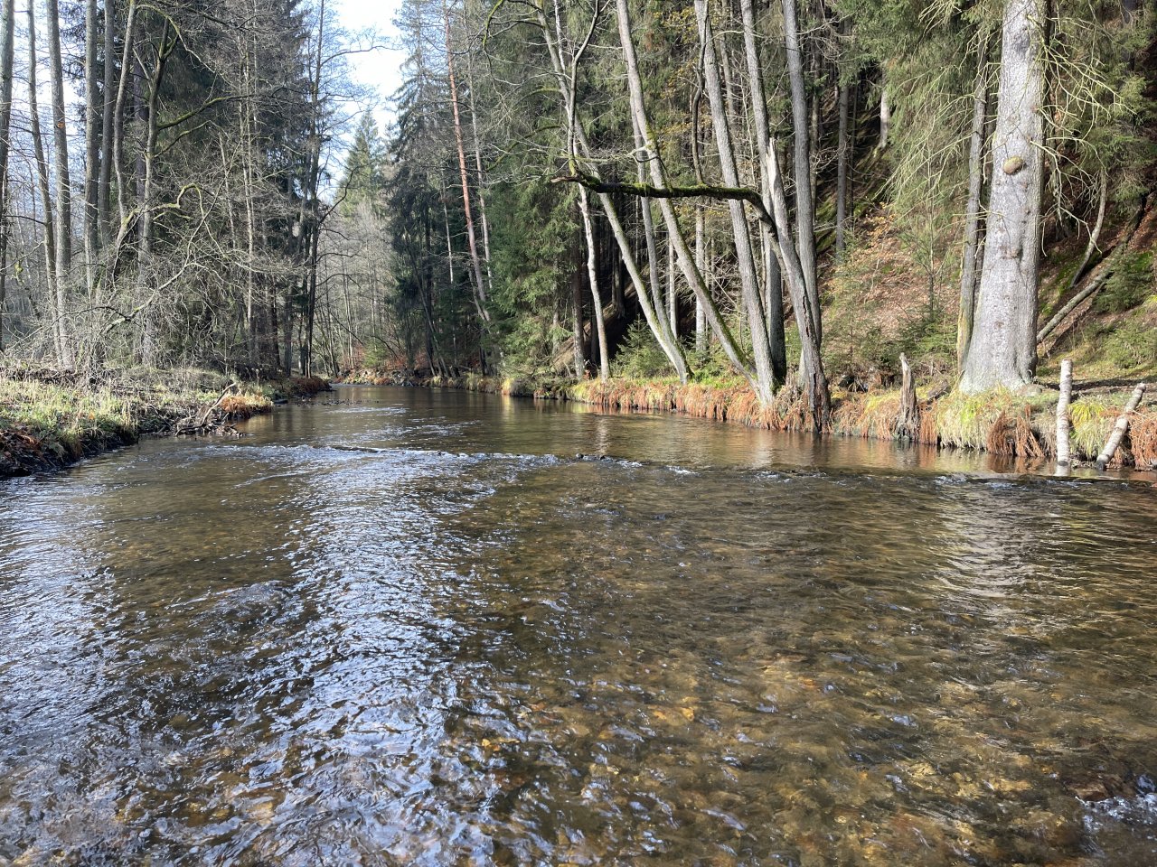 Svatava near H�ebeny