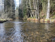 Svatava near Høebeny