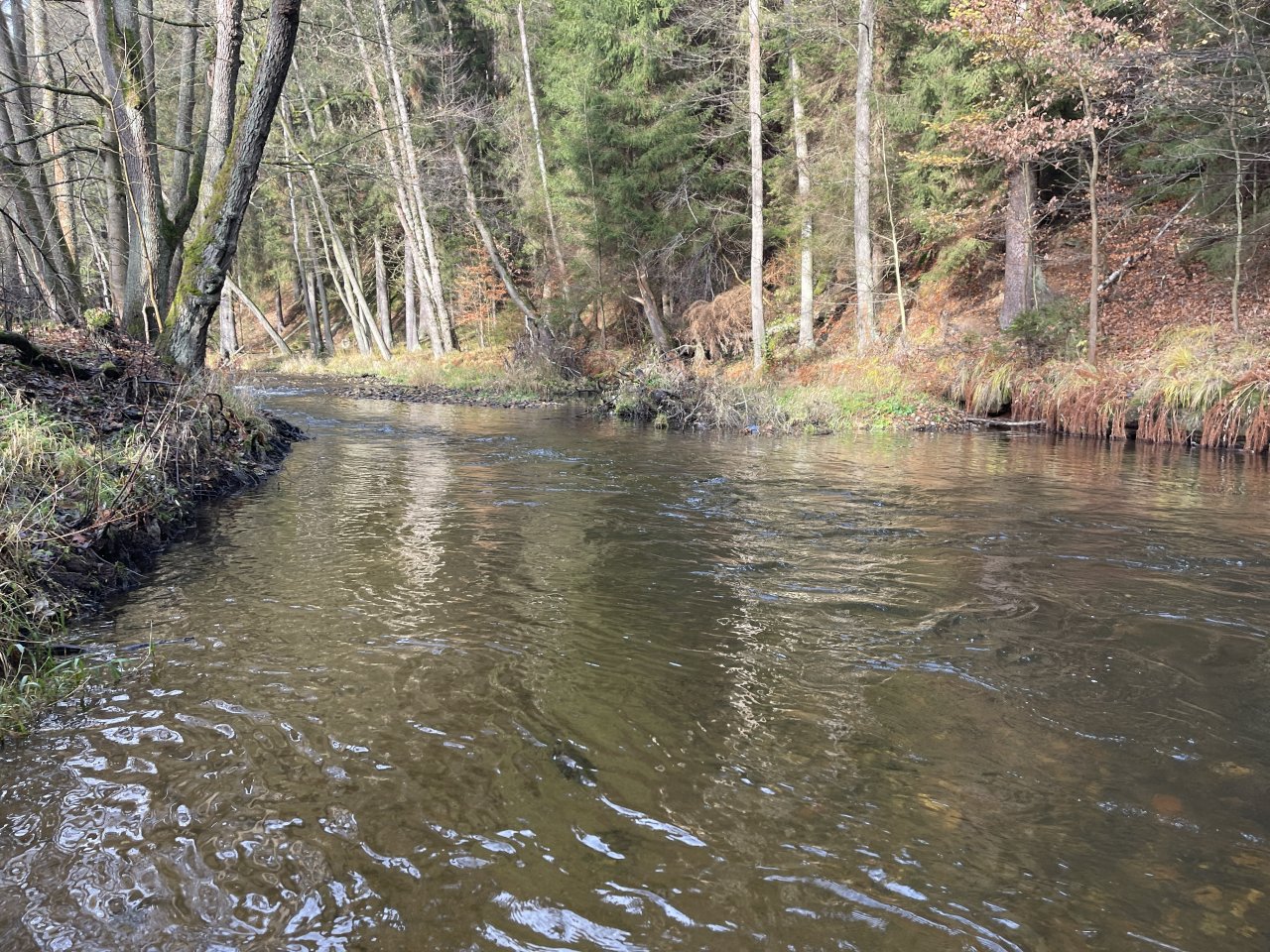 Svatava near H�ebeny