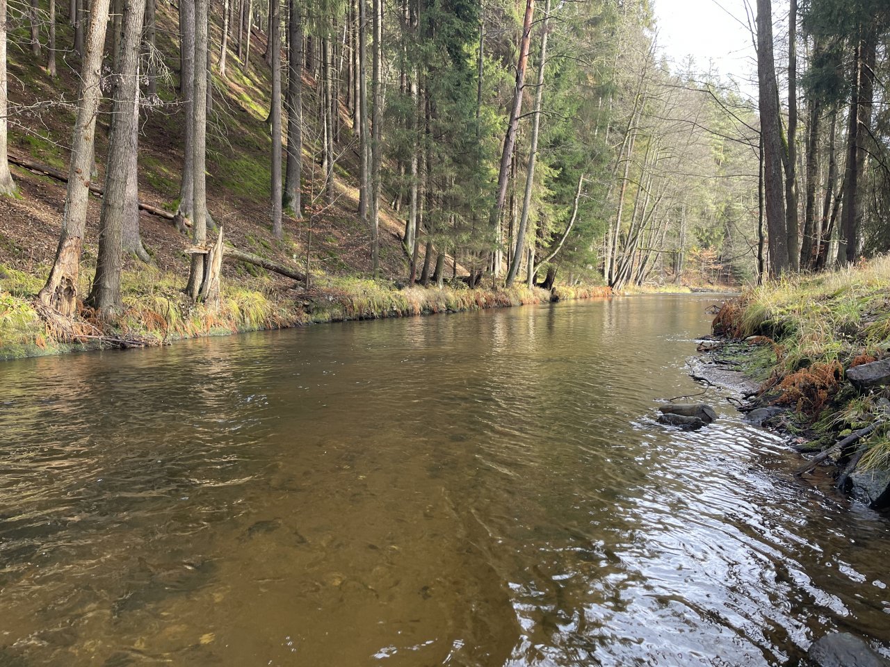 Svatava near H�ebeny