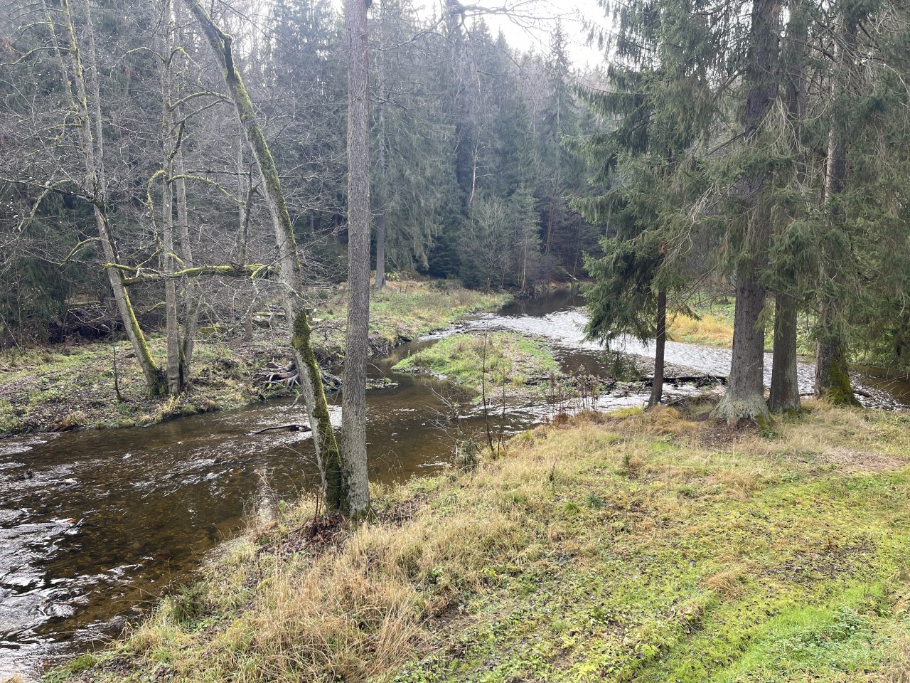Svatava near H�ebeny