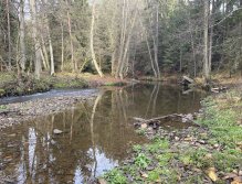 Svatava near Høebeny