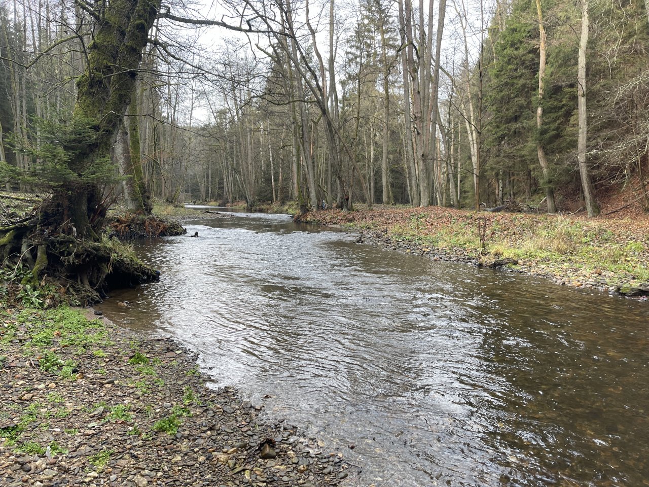 Svatava near H�ebeny