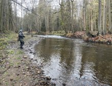 Svatava near Høebeny