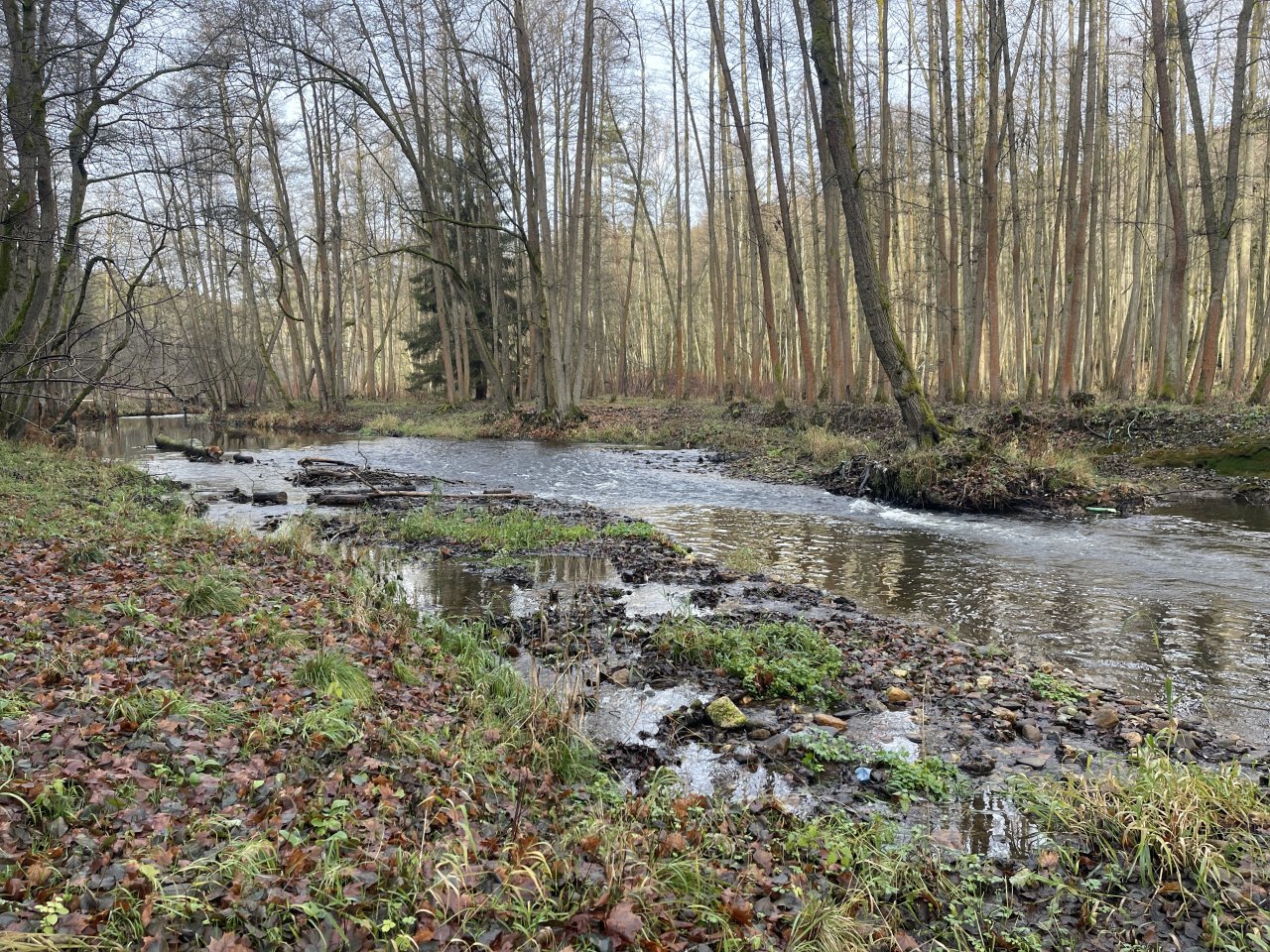 Svatava near H�ebeny