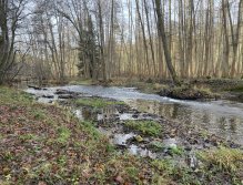 Svatava near Høebeny