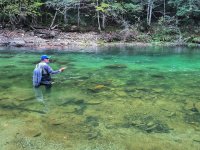 Slovenia 2023 - From Spring To Autumn