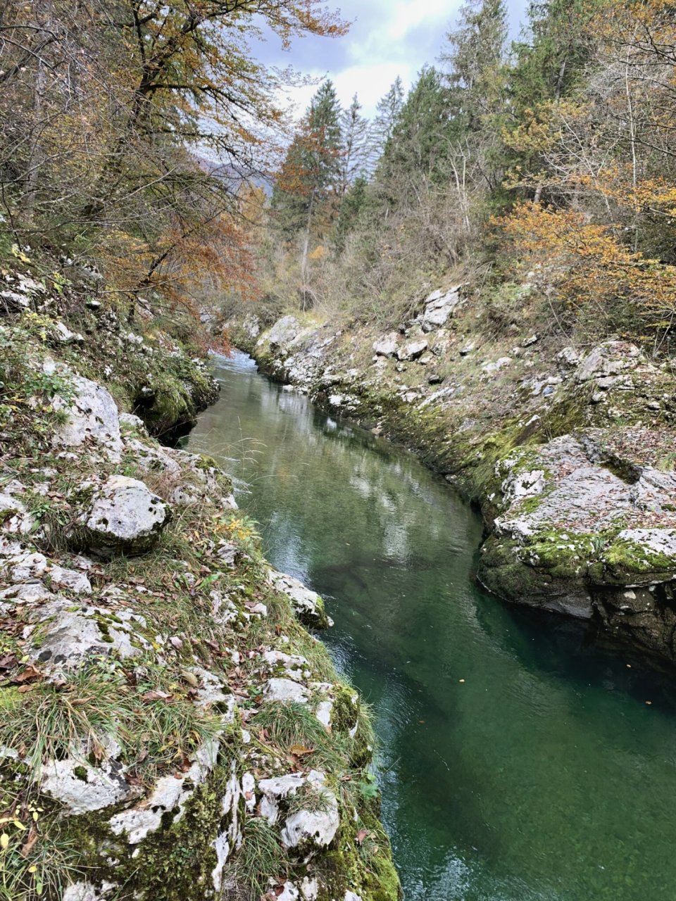 Sava Bohinjka - Slovenia