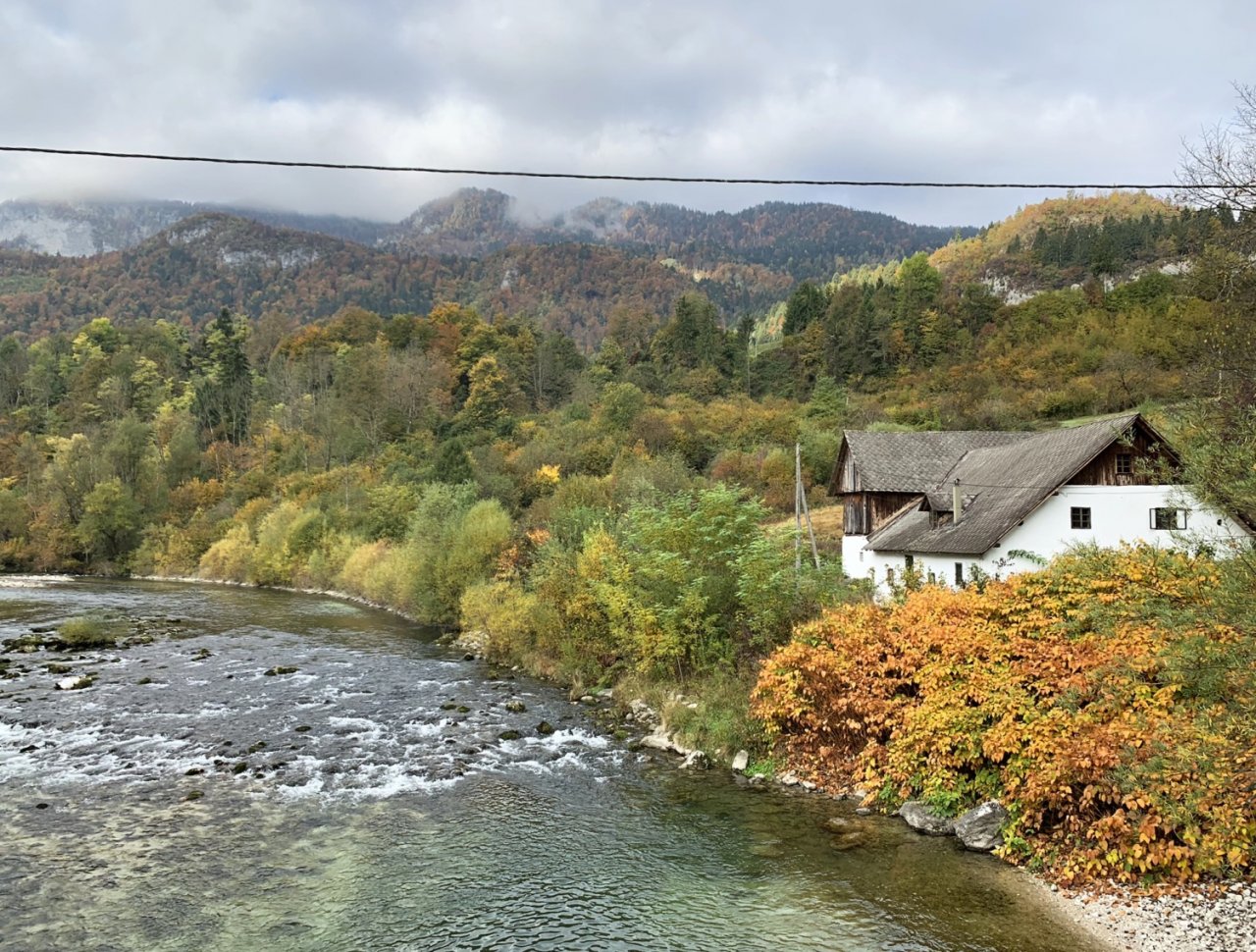Sava Bohinjka - Slovenia