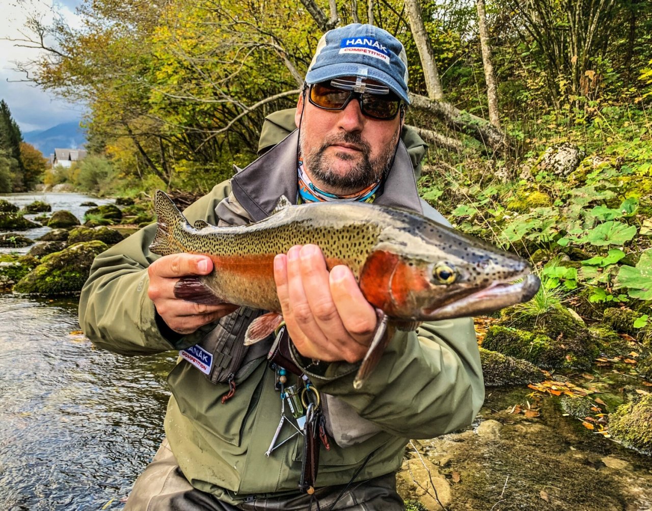 Sava Bohinjka - Slovenia