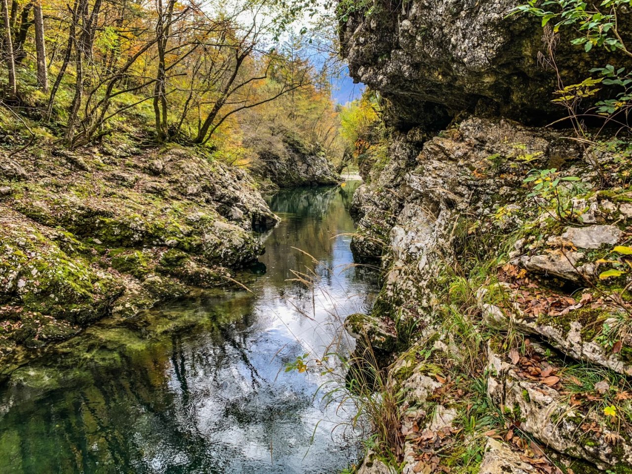 Sava Bohinjka - Slovenia