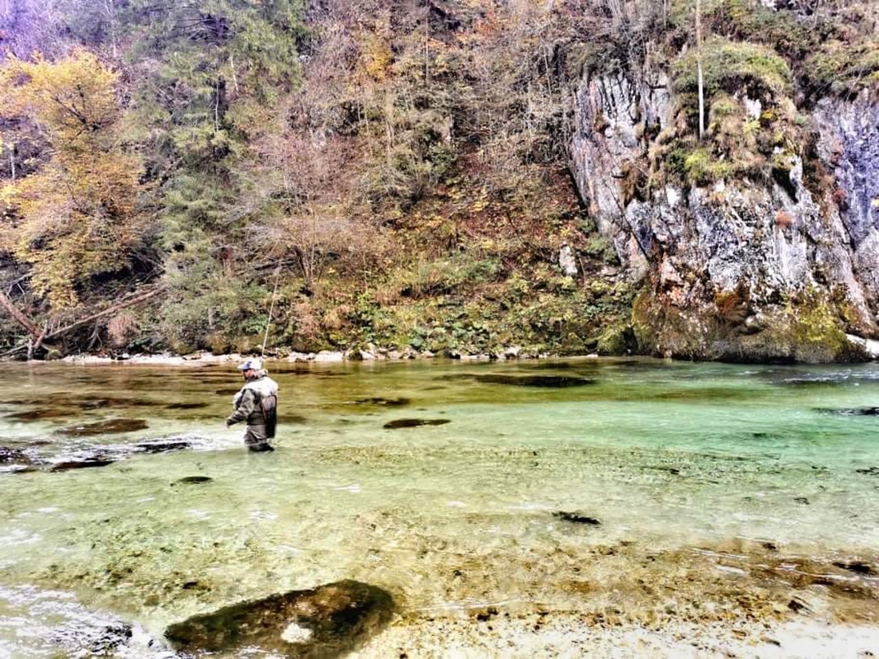 Sava Bohinjka - Slovenia