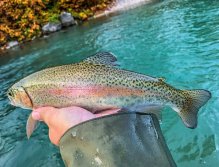 Sava Bohinjka - Slovenia
