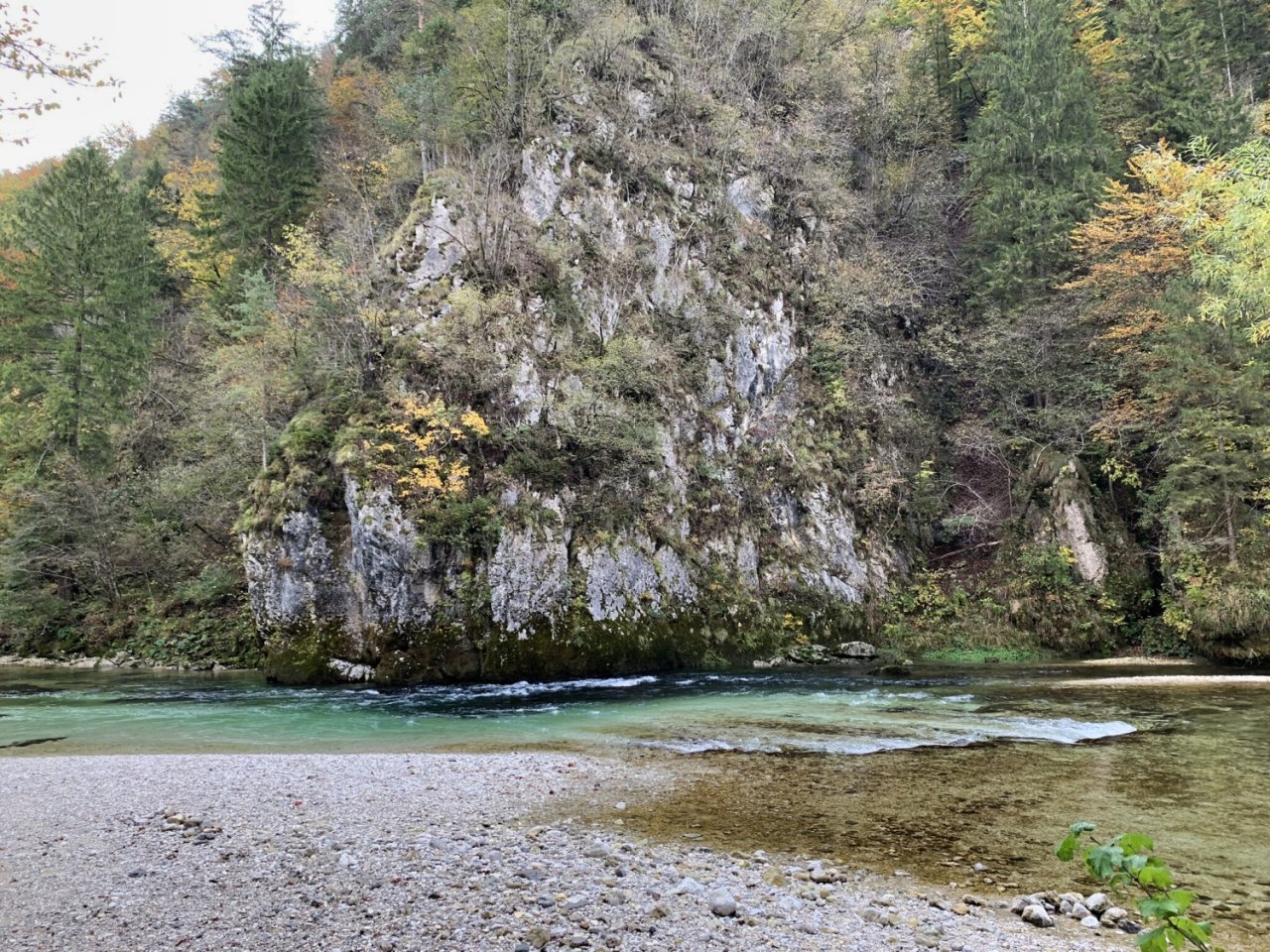 Sava Bohinjka - Slovenia