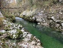 Sava Bohinjka - Slovenia