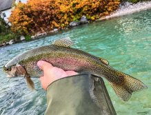 Sava Bohinjka - Slovenia