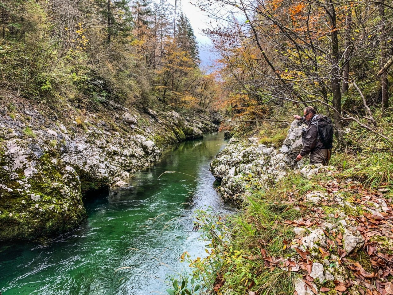 Sava Bohinjka - Slovenia