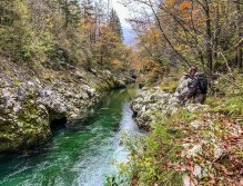 Sava Bohinjka - Slovenia