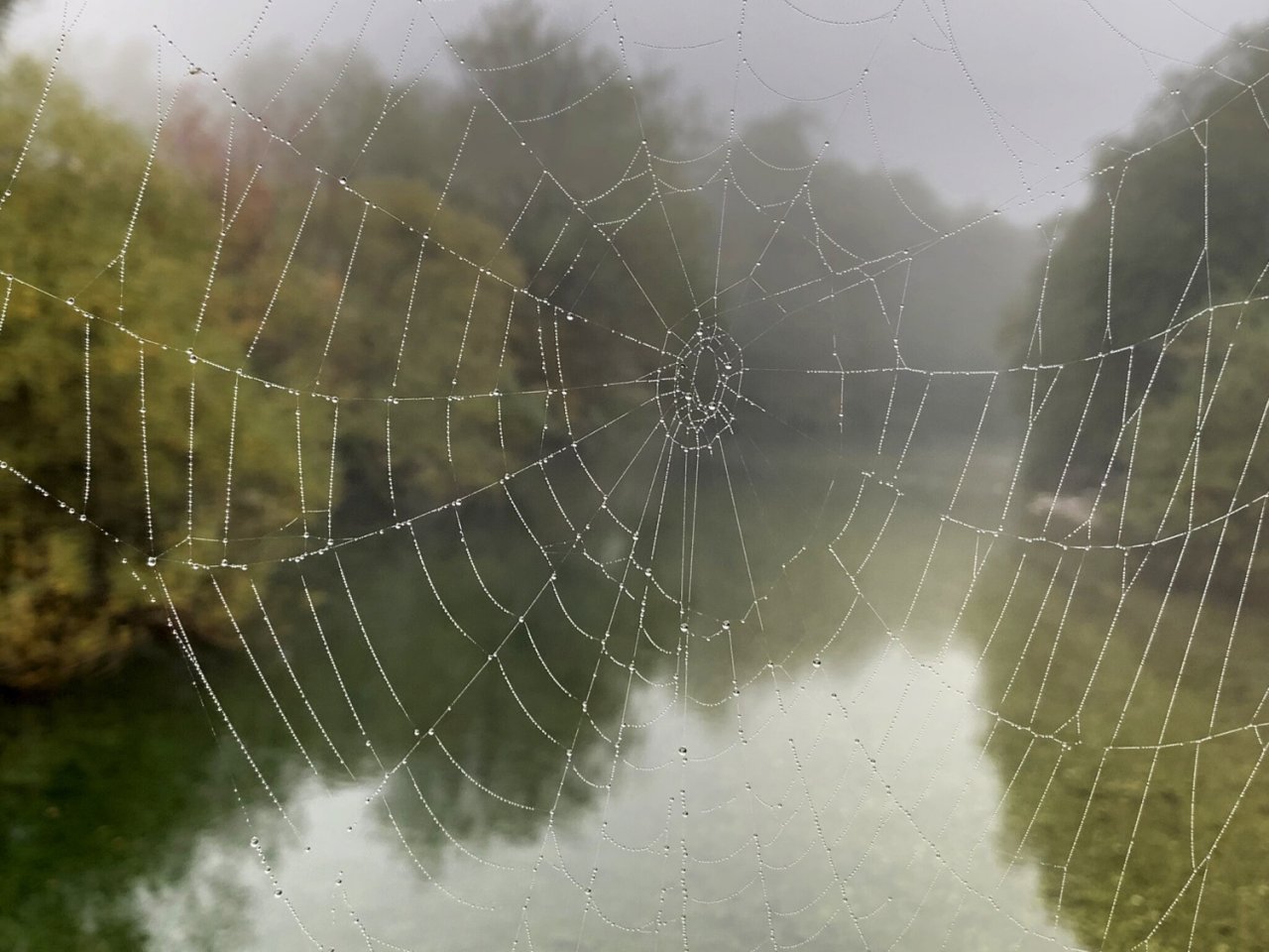 Sava Bohinjka - Slovenia
