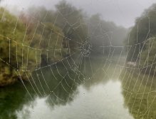 Sava Bohinjka - Slovenia