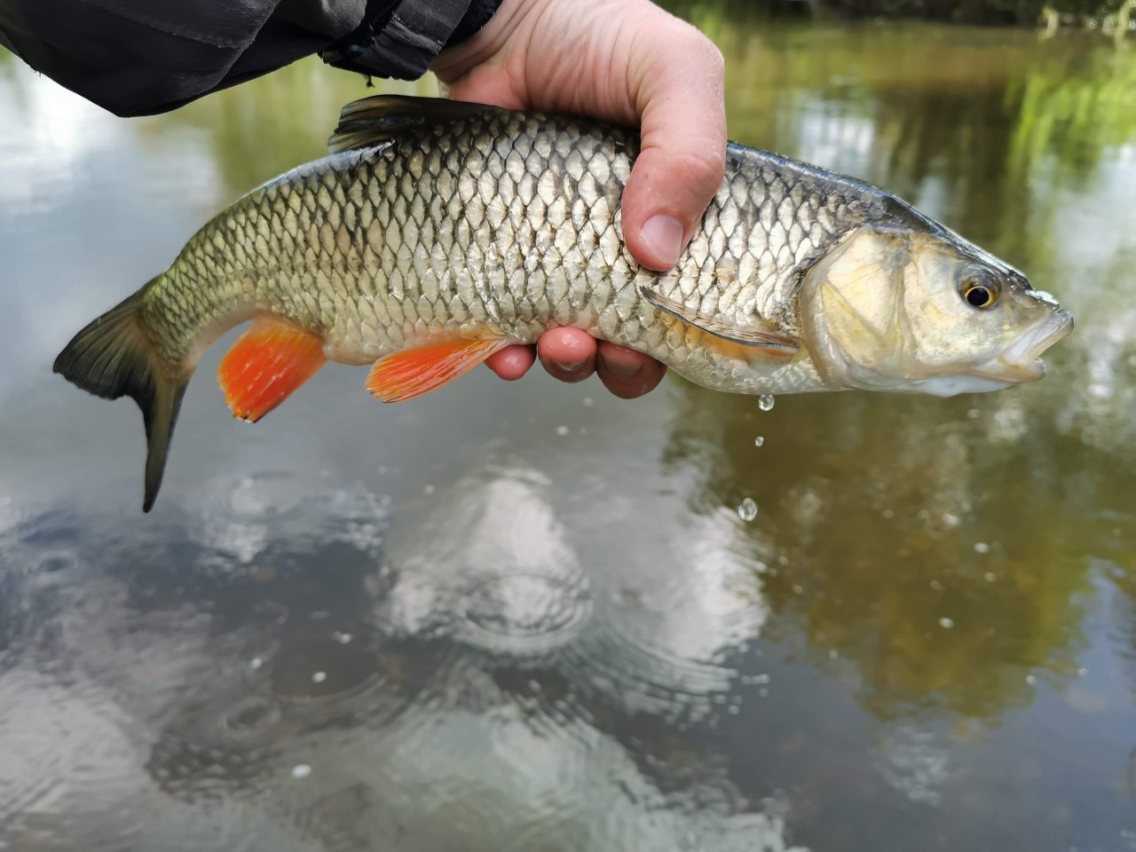 Litavka in Libomy�l