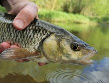 Litavka in Libomyšl