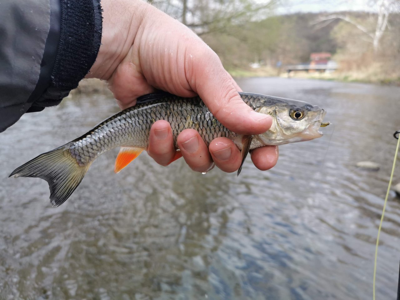 Litavka in Libomy�l