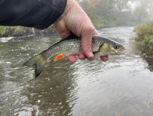 Litavka in Libomyšl