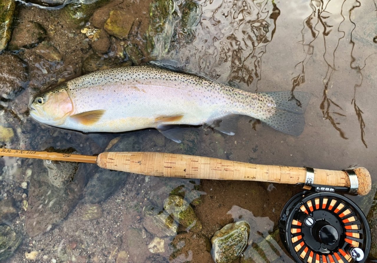 Summer Fly Fishing On Rivers In The Giant Mountains