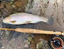 Summer Fly Fishing On Rivers In The Giant Mountains