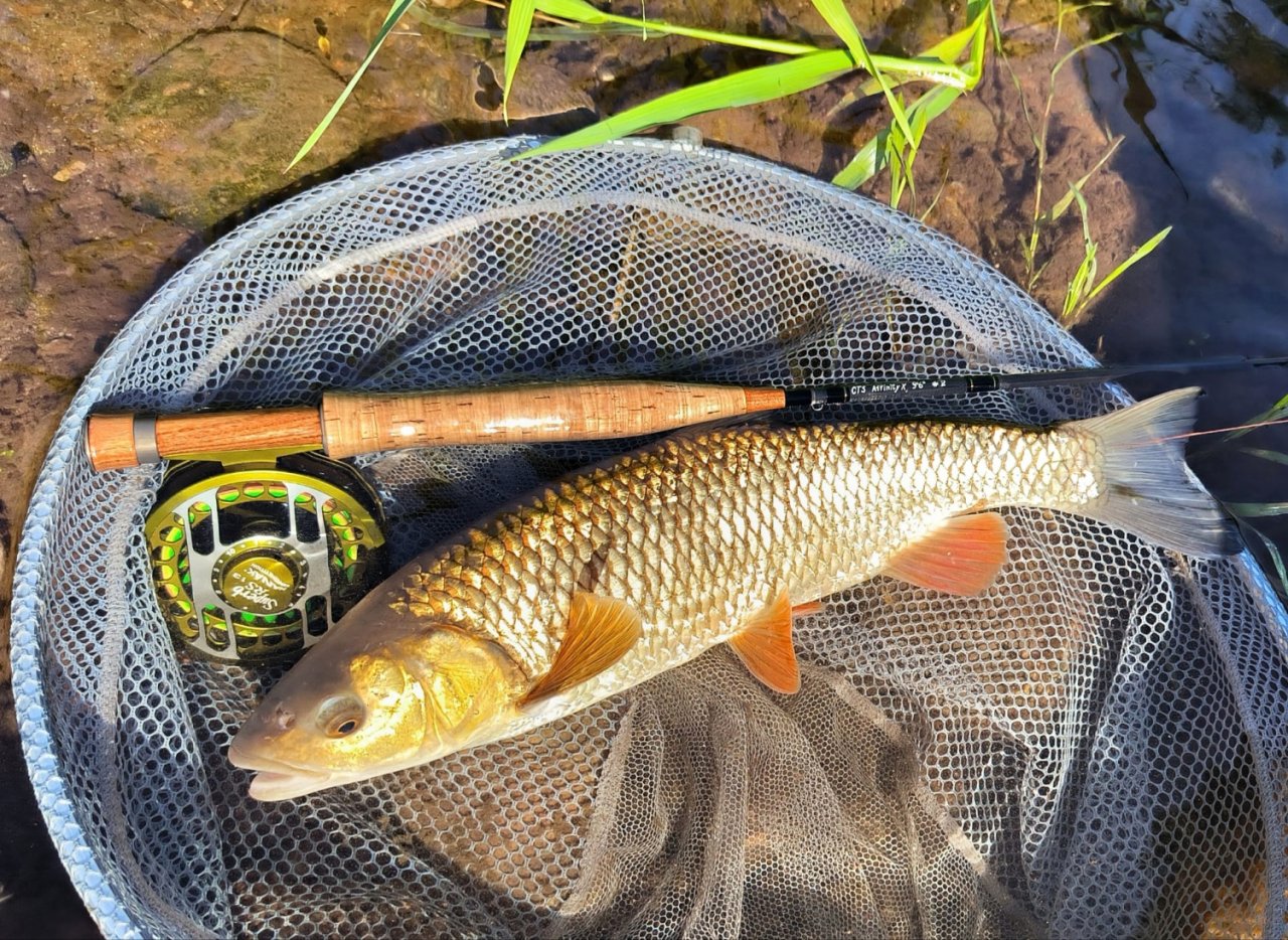 Summer Fly Fishing On Rivers In The Giant Mountains